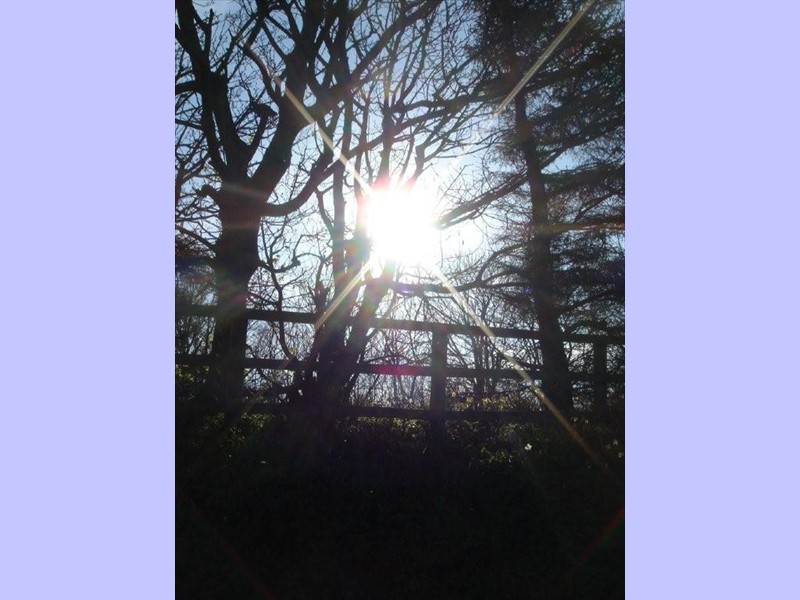 Early Morning Sunrise