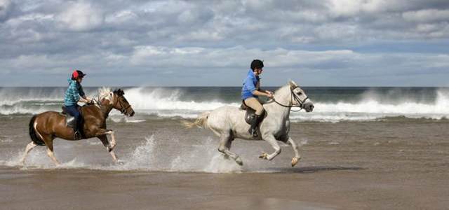 Horses on Embleton Beach